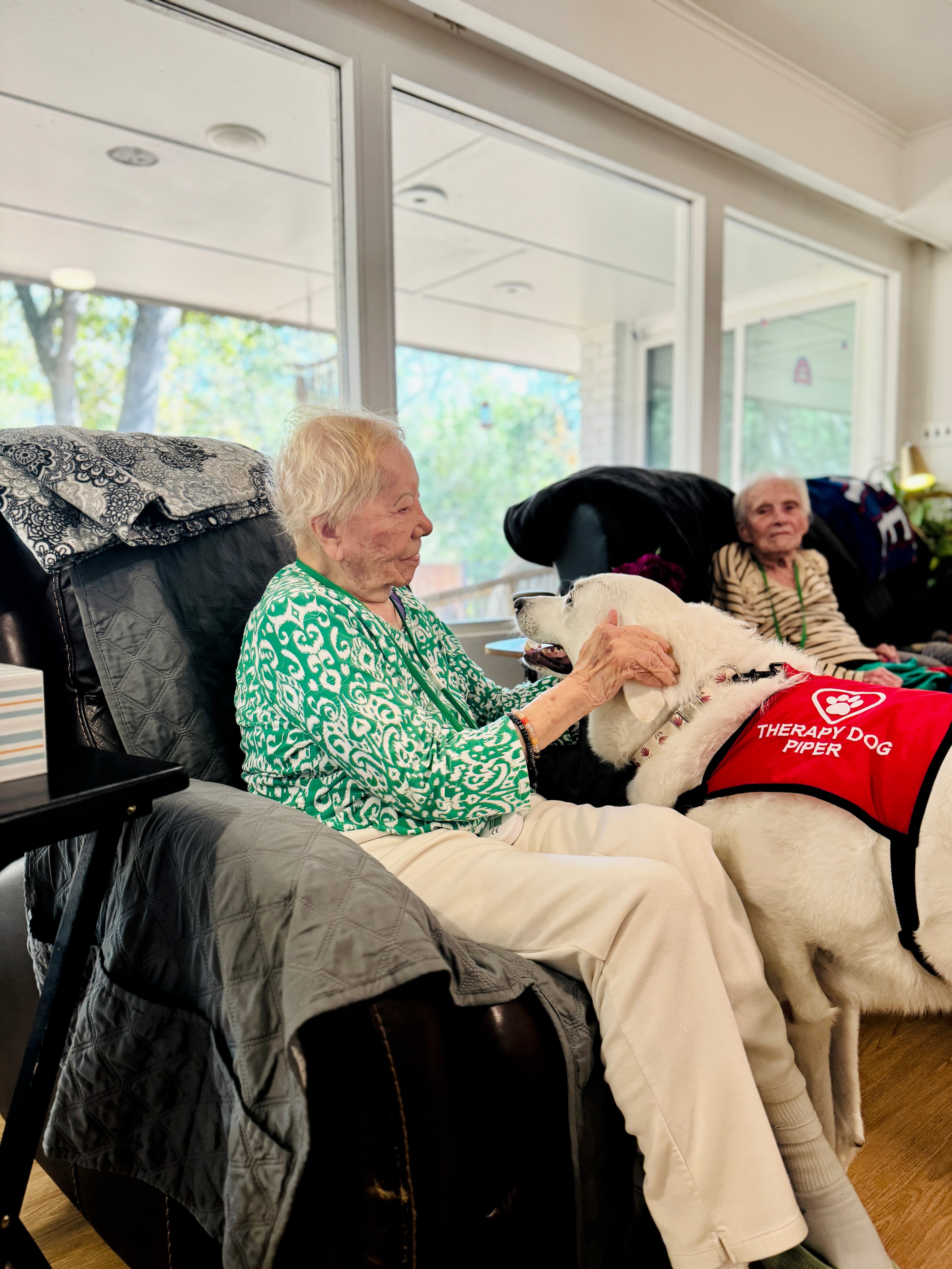 Pet therapy bringing comfort to a resident at Timeless Care Homes